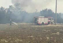 Пожар в Старозагорско