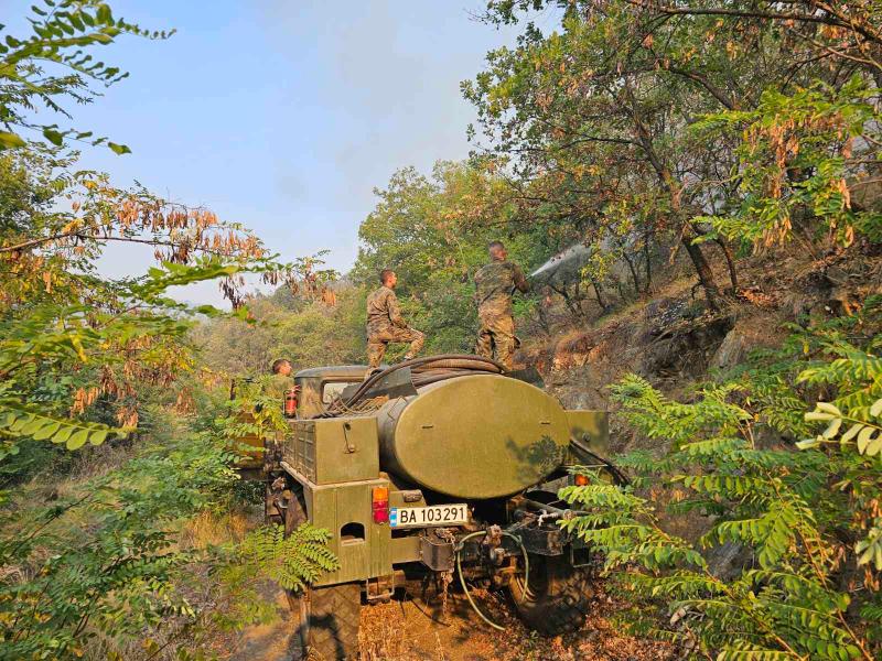 Военнослужещи и техника от Сухопътните войски и Военновъздушните сили ВВС