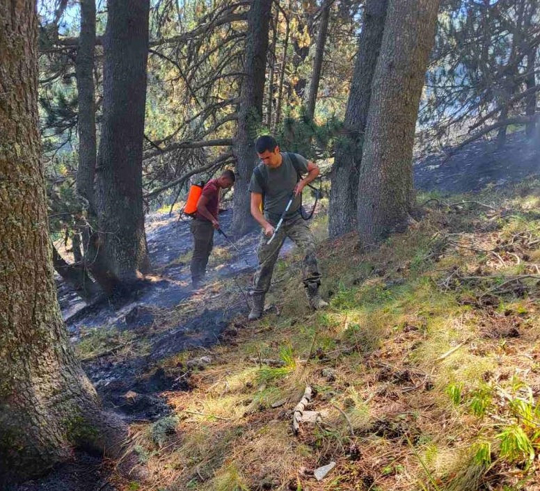 Хеликоптер Кугар с екипаж от 24 та авиационна база – Крумово