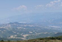 Пожарът на границата с Република Северна Македония е овладян