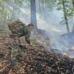 Пожарът в планина Славянка