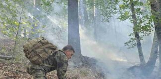 Пожарът в планина Славянка