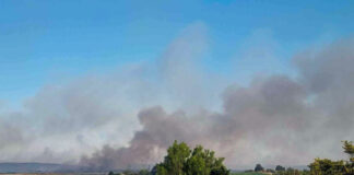 Пожарът в Ямболско