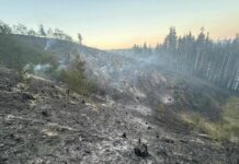 Пожар на границата с Република Северна Македония