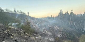 Пожар на границата с Република Северна Македония