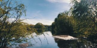 Река Марица