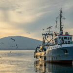 Рибарство, програми, плащане