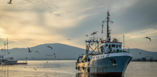 Рибарство, програми, плащане