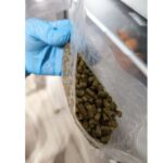 Синтетични наркотици, спецакция на ГДБОП в Пловдив