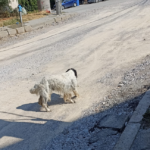 Улици в в квартал "Драглевци" са замърсени с инертни материали