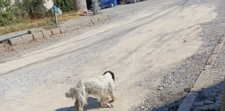 Улици в в квартал "Драглевци" са замърсени с инертни материали