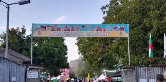 Видински панаир