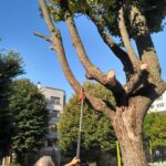 Аварийна резитба