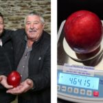 Дийн и Деон Барнард, и слива