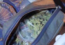 Наркотици, канабис