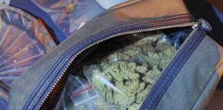 Наркотици, канабис