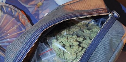 Наркотици, канабис