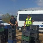 Полиция при гроздобер