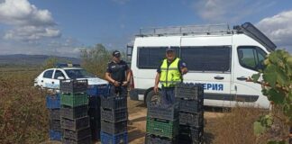 Полиция при гроздобер