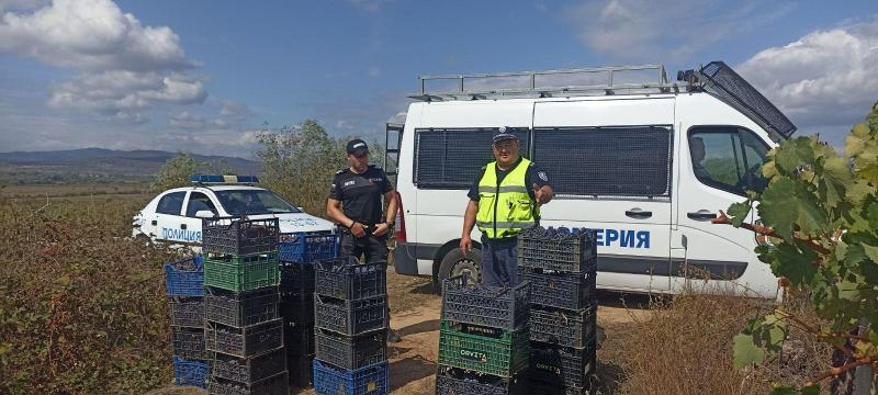 В периода на гроздобера съвместни екипи на полицейското управление в