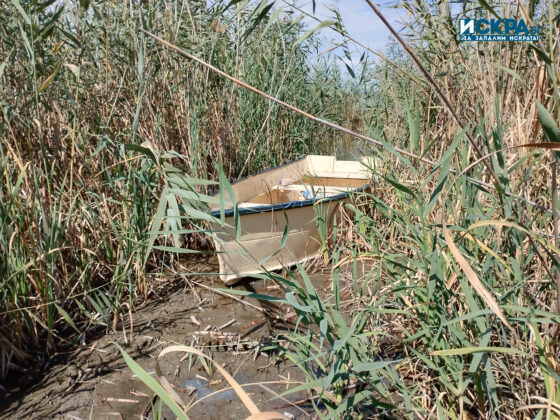 Акция на ИАРА