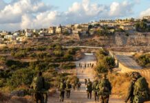 Израелски отбранителни сили