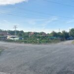 Кринчовица