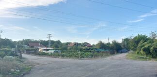 Кринчовица