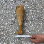 Невзривени боеприпаси