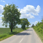 Път между Русе и Николово