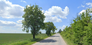 Път между Русе и Николово