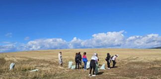 Почистване в Кюстендил