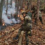 Горски пожар