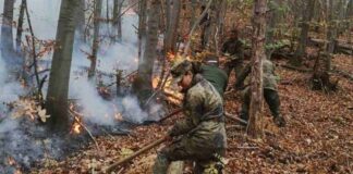 Горски пожар