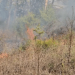 Пожар в Созопол