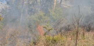 Пожар в Созопол