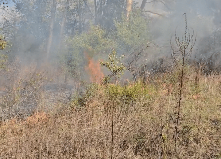 Пожар в Созопол Снимка Facebook
Кметът на Созопол съобщи за нов