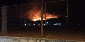 Пожарът в Асеновградско