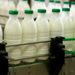 Производство на мляко