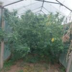 Спецакция в Силистренско