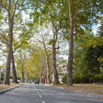 Улица "Александър Стамболийски"