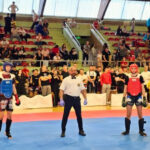 Международен турнир по кунг-фу/ушу