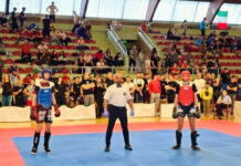 Международен турнир по кунг-фу/ушу