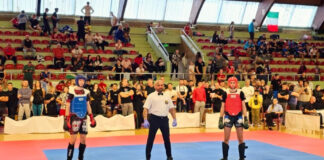 Международен турнир по кунг-фу/ушу