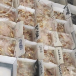 Вейп устройства