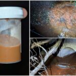 Замърсяване на река Струма