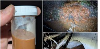 Замърсяване на река Струма