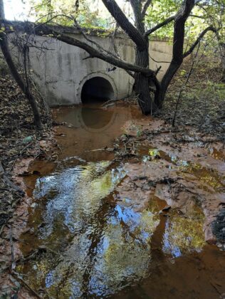 zamarsyavane na reka struma 6