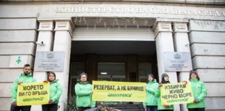 Акцията пред МОСВ