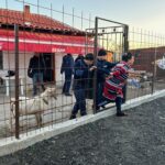 Специализирана полицейска операция